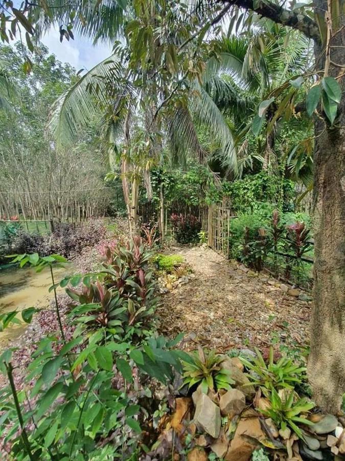 Nakhon Si Ban Na Homestay Nakhon Szi Thammarat Kültér fotó